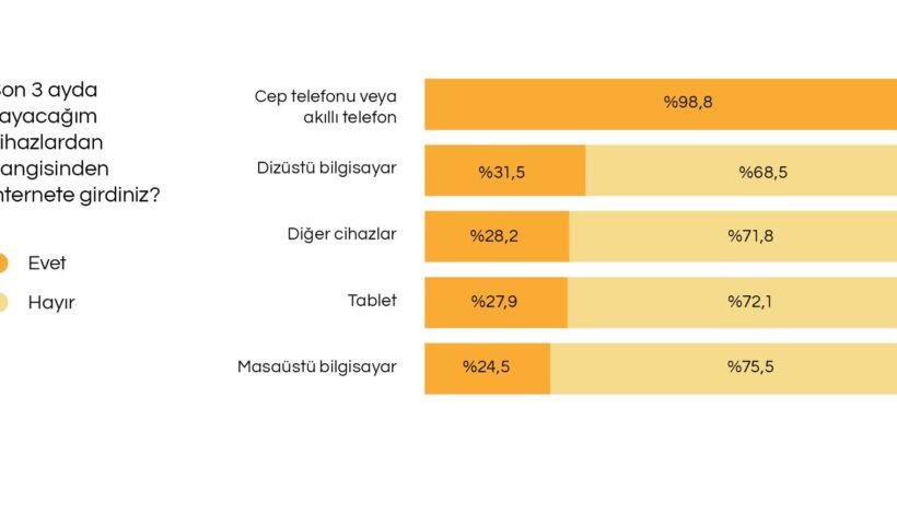 İstanbul Planlama Ajansı'nın dijital vatandaşlık araştırması görseli