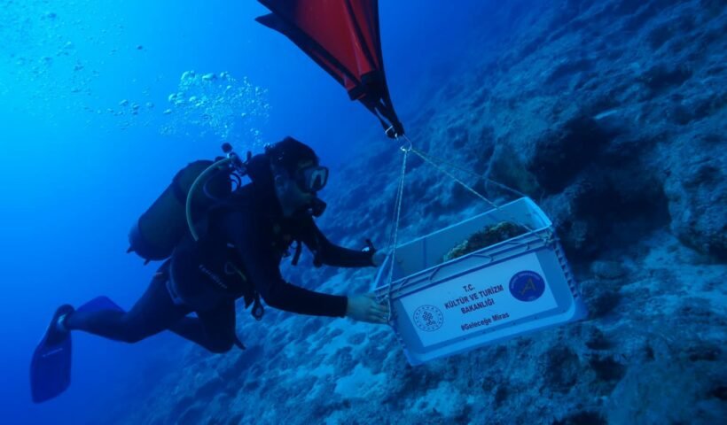 Kekova açıklarındaki su altı kazısında gün yüzüne çıkarılan antik amforalar